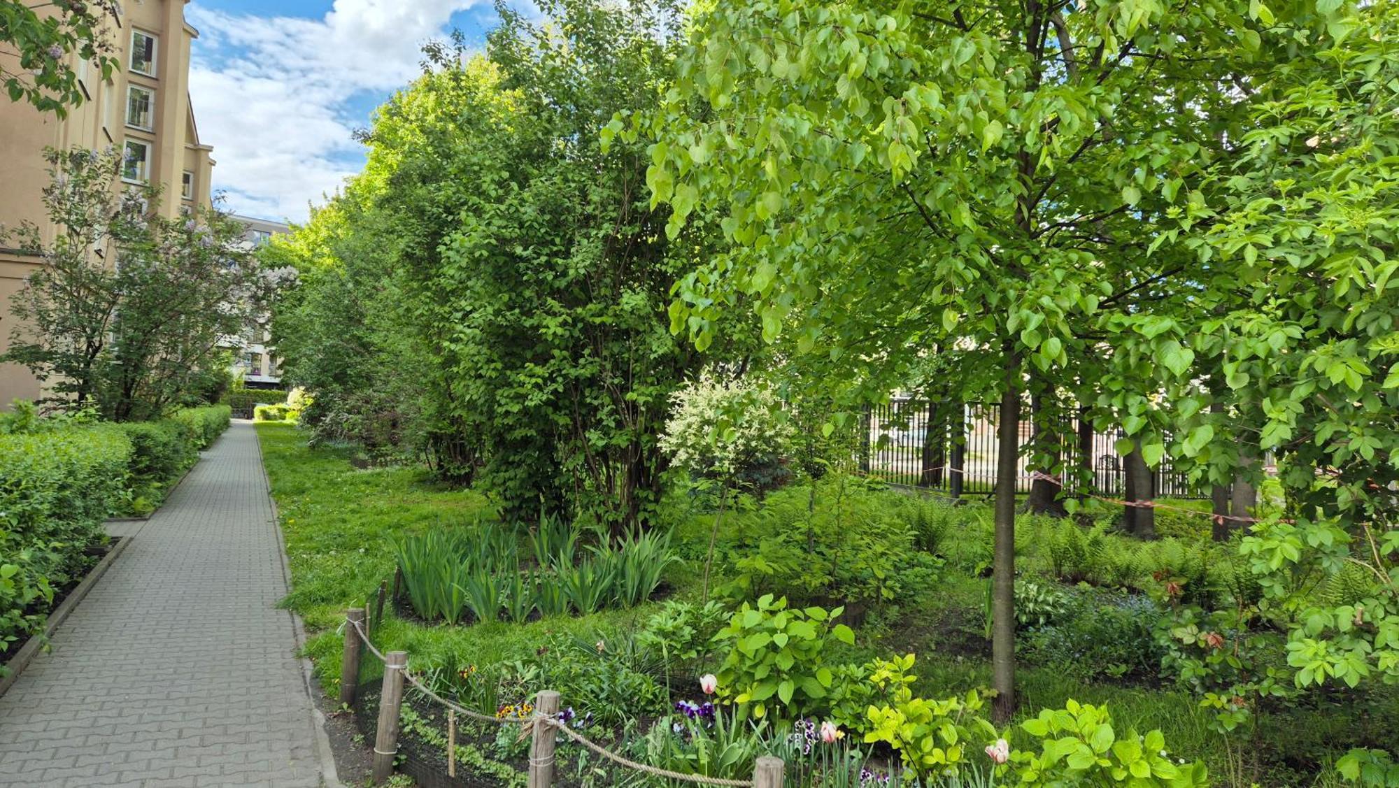 Apartament Daszynskiego كراكوفيا المظهر الخارجي الصورة